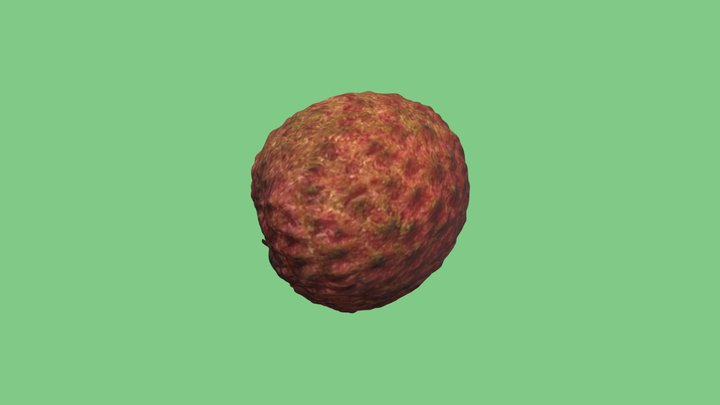 3D Scanned Lychee 3D Model