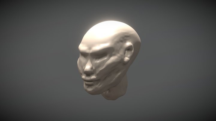 Second time Head 3D Model