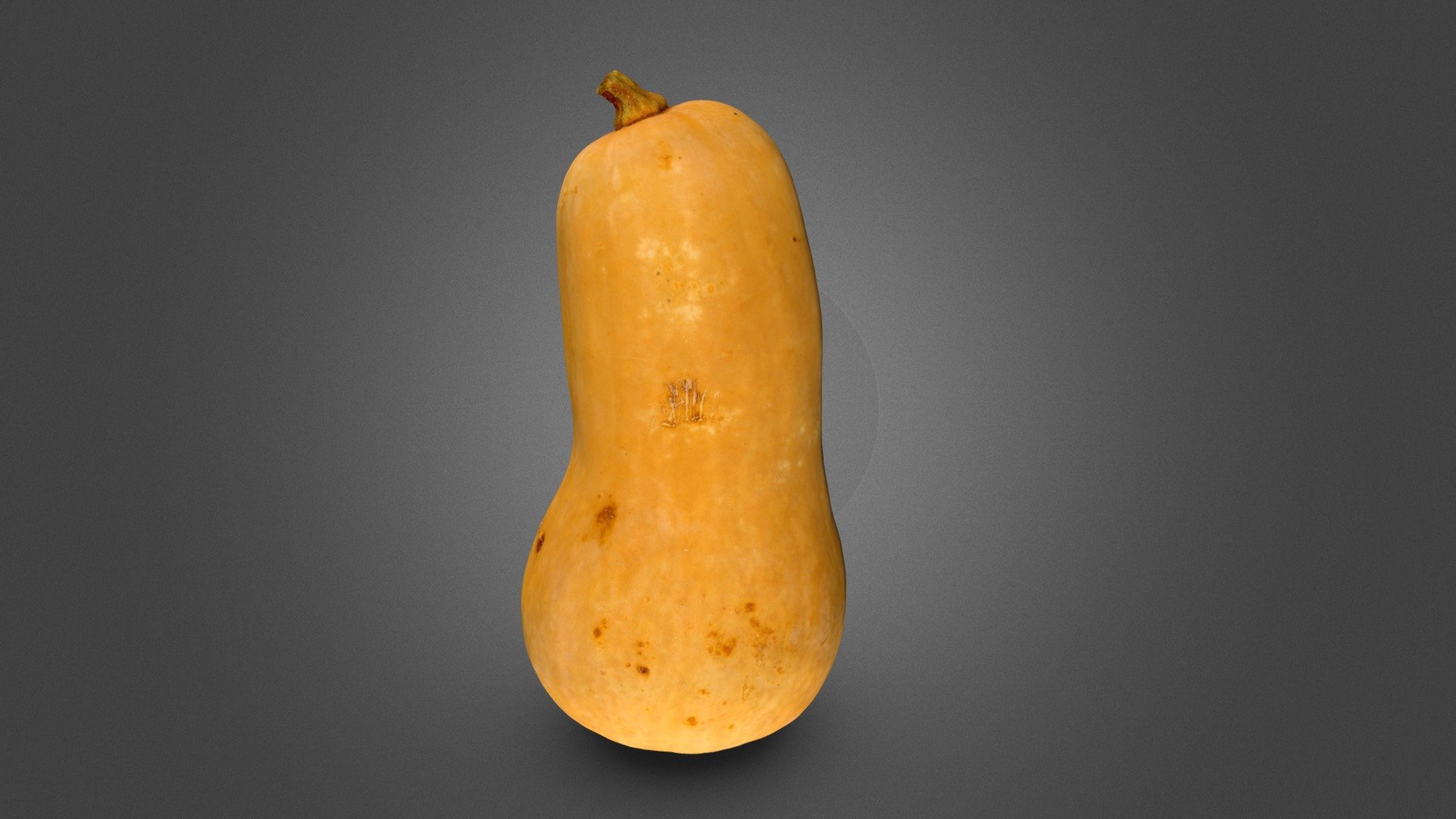 Pumpkin Asset Free Download