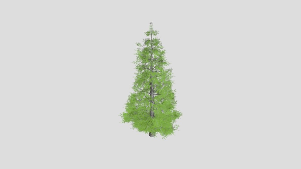 Low Poly Evergreen Tree Short 2
