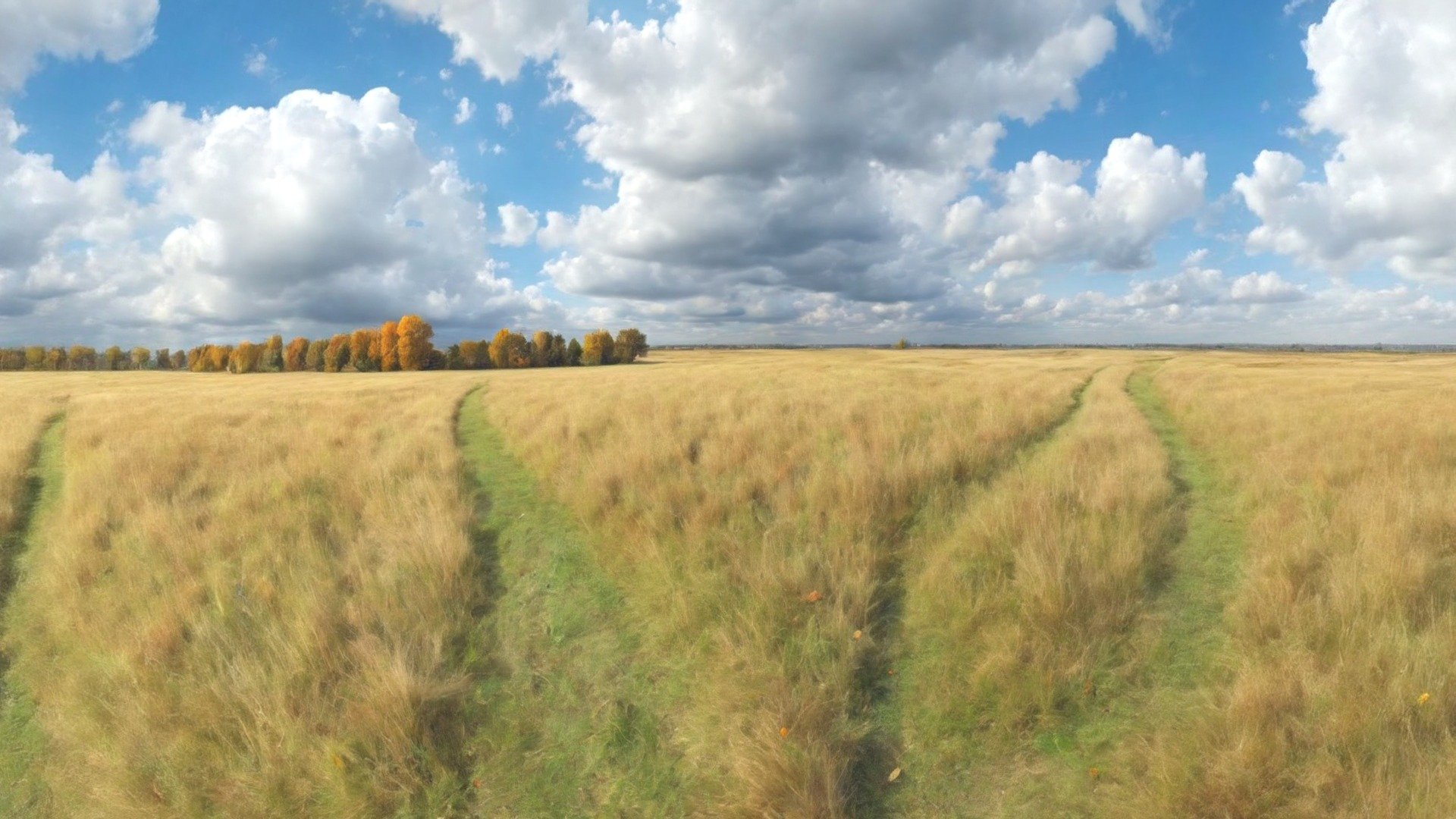 Hdri Grasslands Panoramas Megapack Vol 1 Buy Royalty Free 3d Model By Ionut81 [2658327