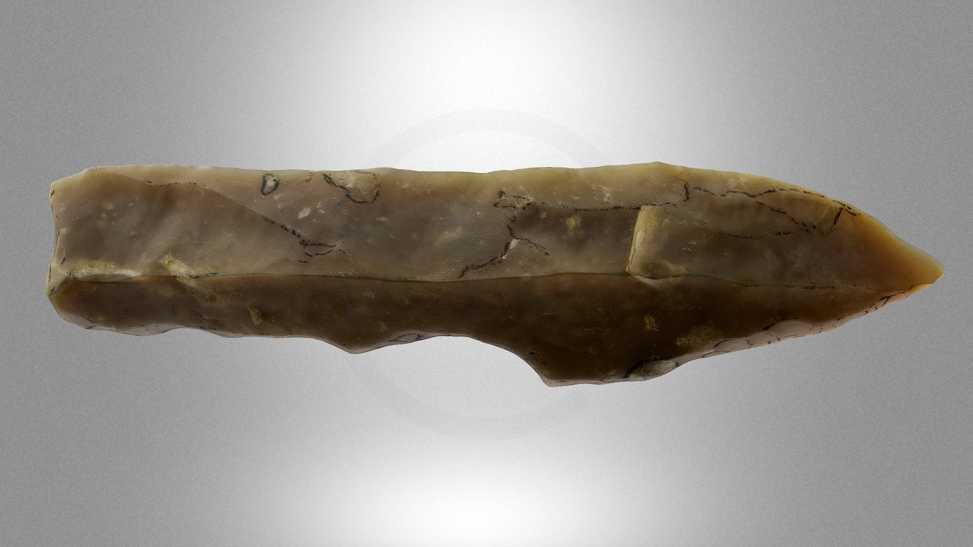 Shouldered Point 1 - Download Free 3d Model By Virtual Museums Of 