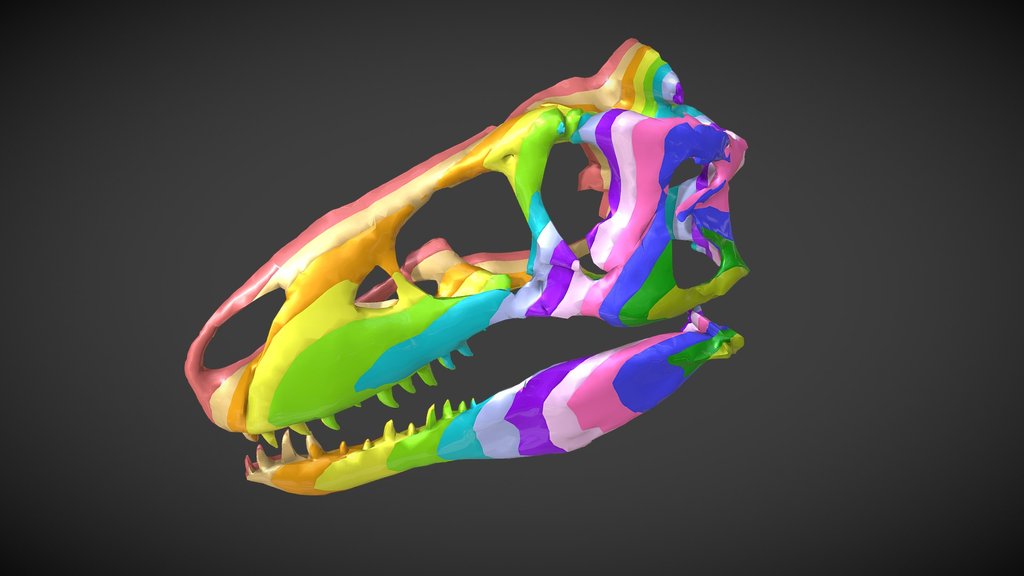 Random - A 3D model collection by C.Jordan - Sketchfab