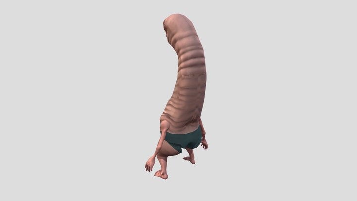 Worm | Roblox Bundle 3D Model