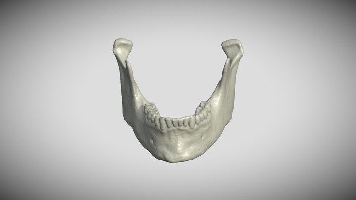 Mandible 3D Model