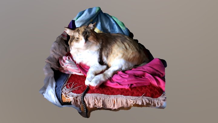 Cat On Chair 3D Model