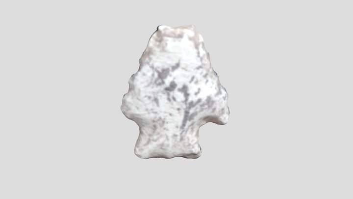 Archaic Point From The Haynie Site 3D Model
