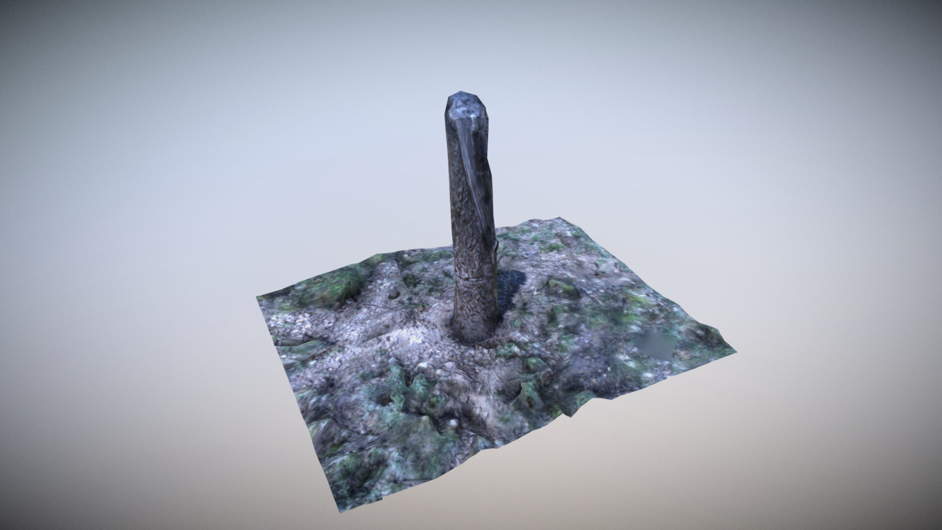 photogrammetry trunk in low poly