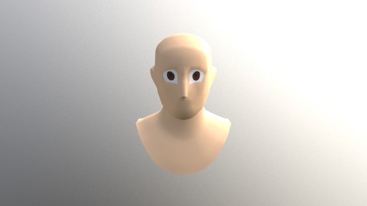 Head 3D Model