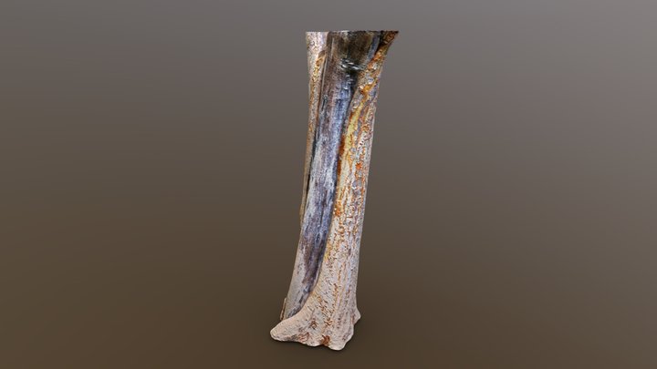 Sycamore Trunk - Retopologized – Modèle 3D gratuit STL