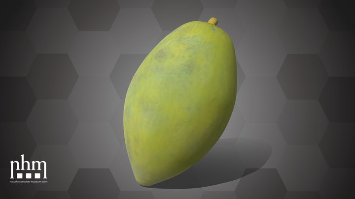 Jujube (NHMW-AFW-DING-0046-140) – Modèle 3D gratuit STL