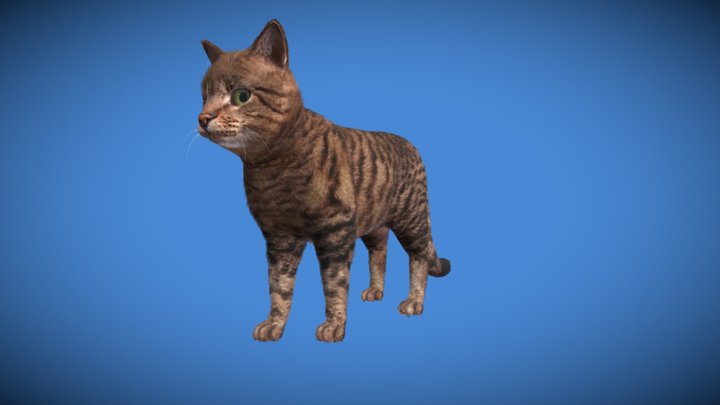 Realistic cat wish real-time fur 3D Model