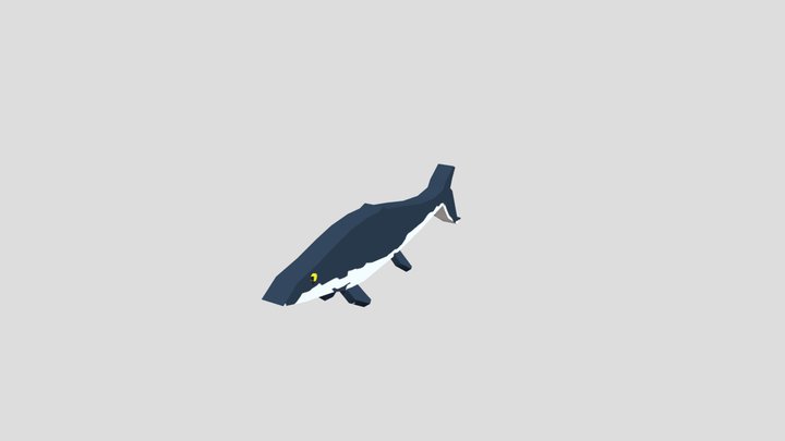 Mosasaurus 3D Model