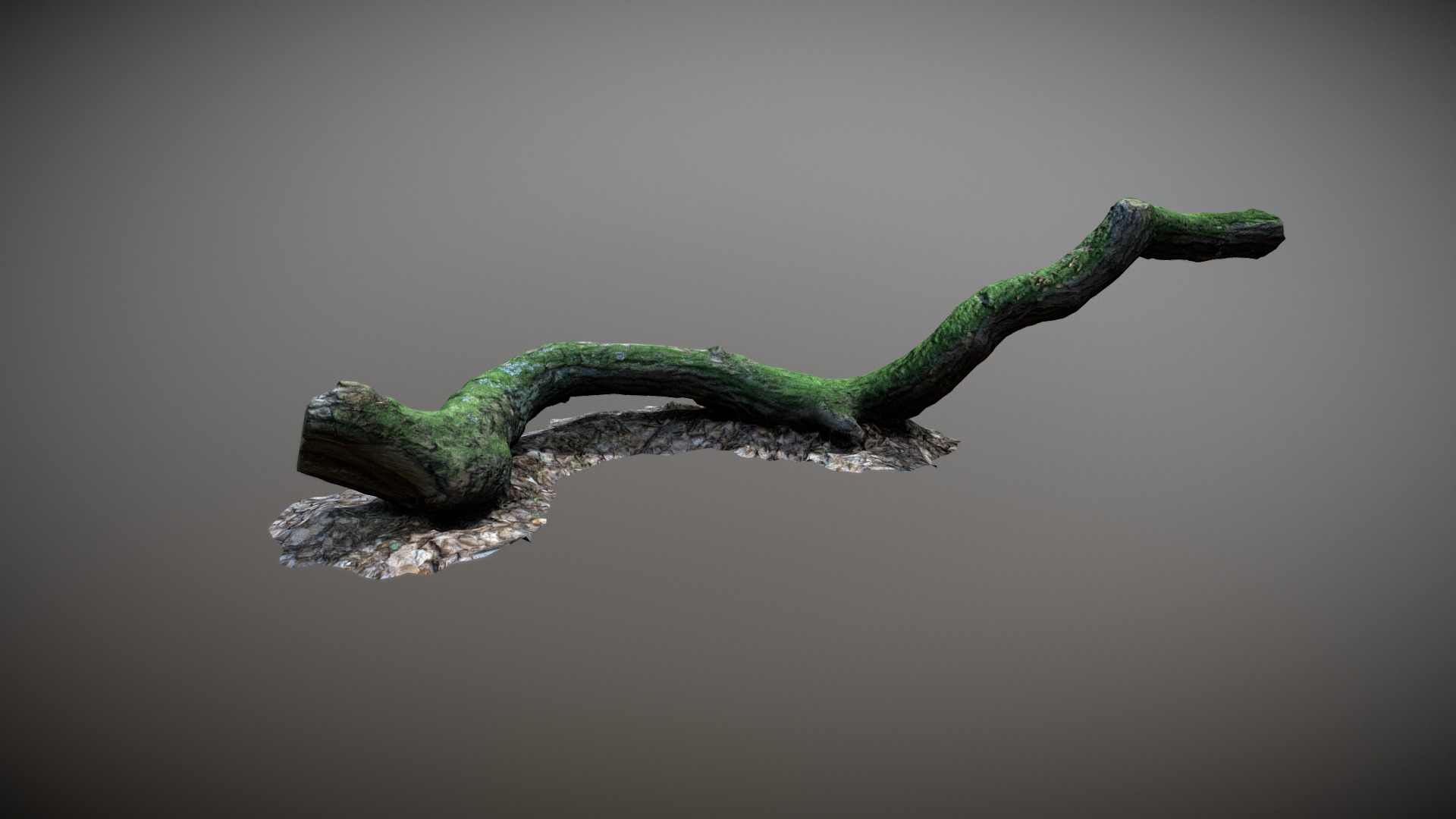 3D model Nature Forest Stuff 003 - This is a 3D model of the Nature Forest Stuff 003. The 3D model is about a close-up of a branch.