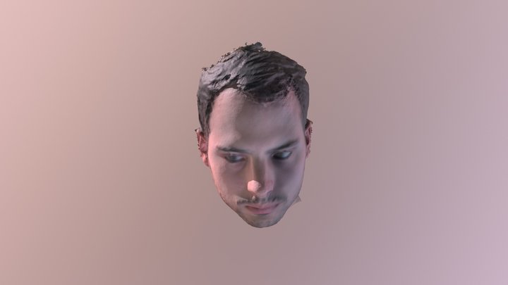 GUILLERMOHOR PRUEBA 1 3D Model