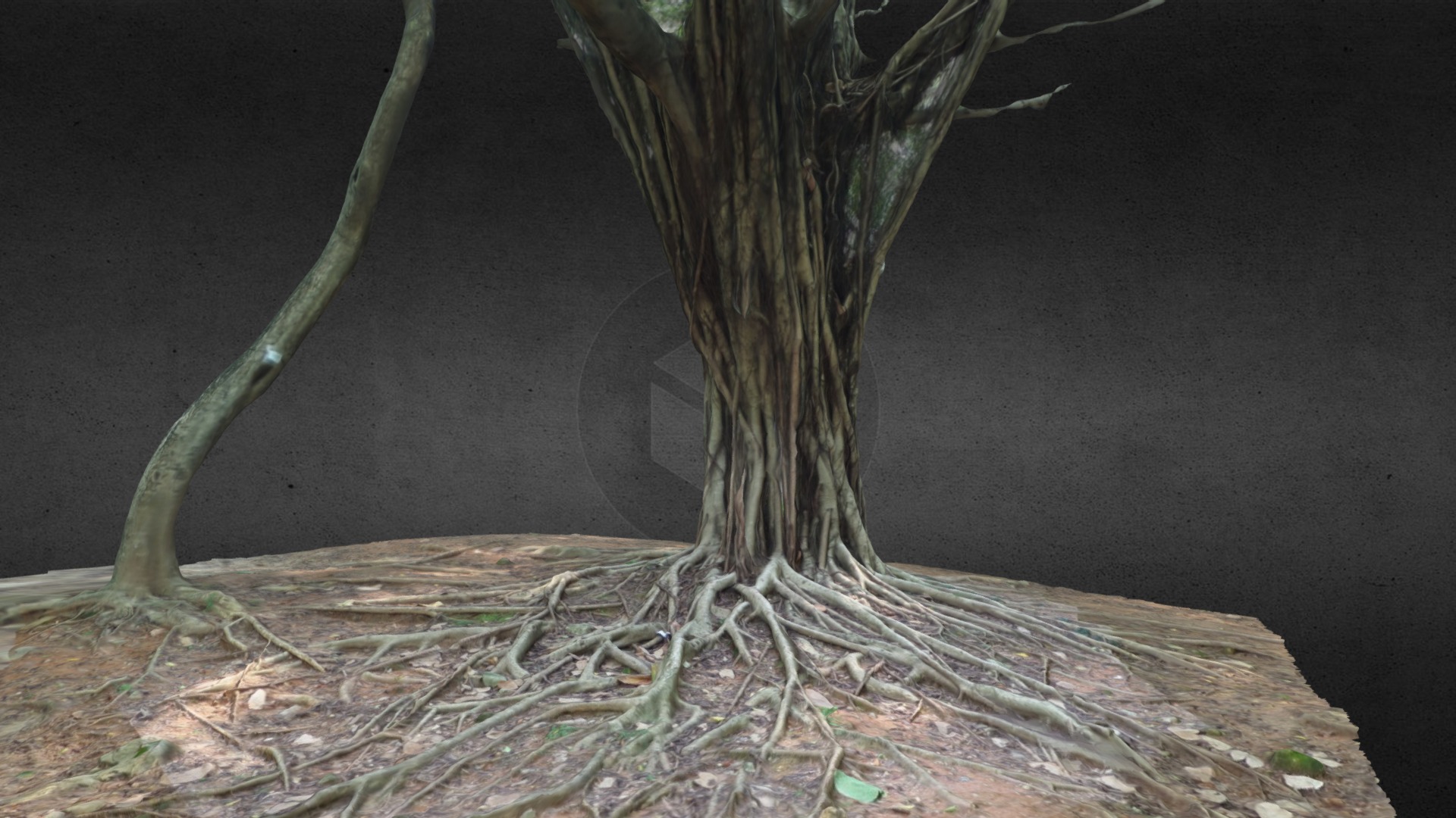 3D model T1427 - This is a 3D model of the T1427. The 3D model is about a tree with branches and roots.