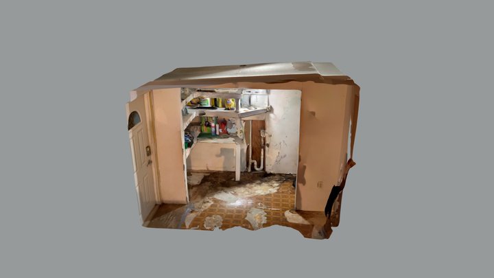 4’ X 9’ Laundry Room Gut Rehabilitation 3D Model