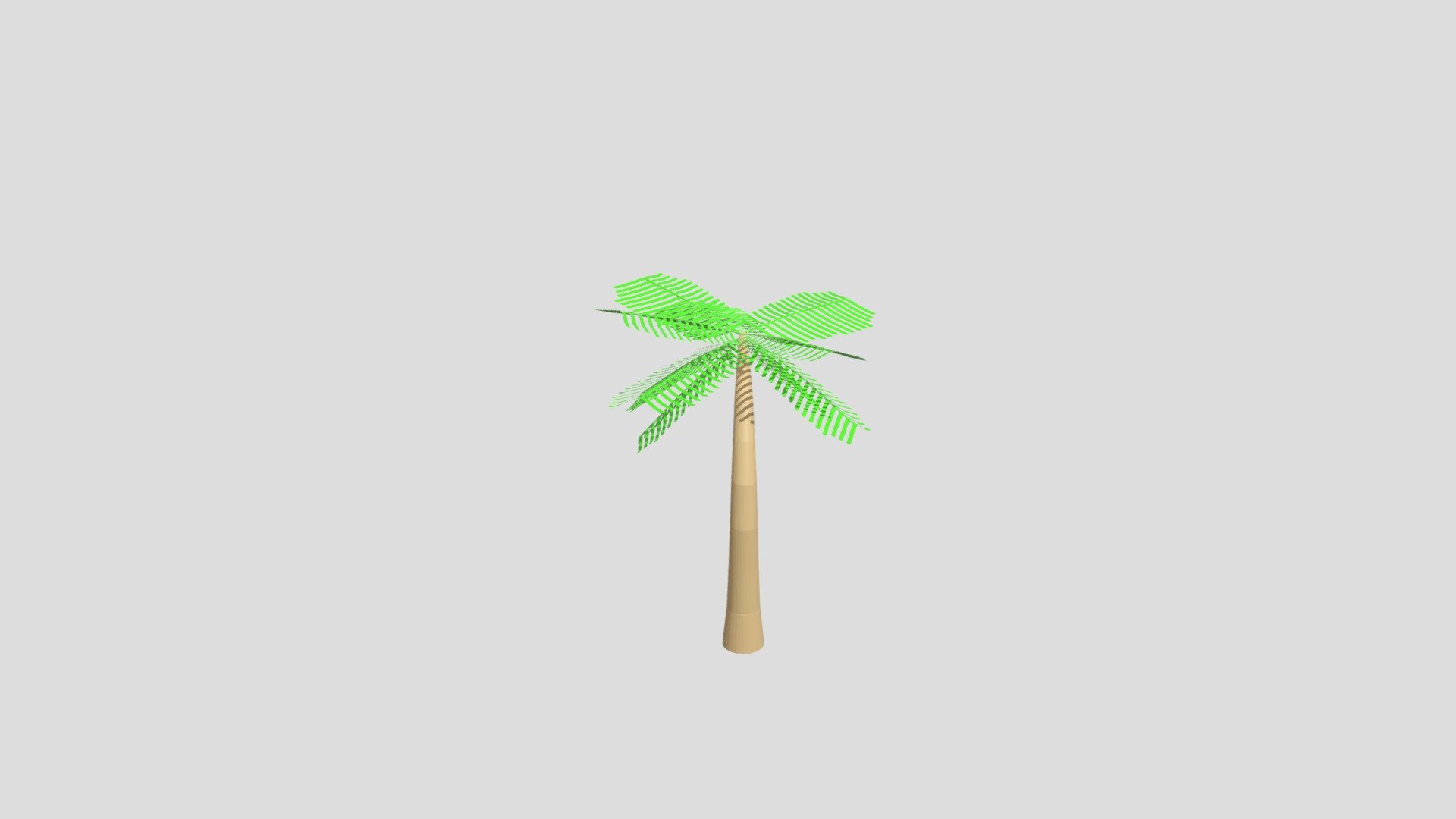 Palm Tree