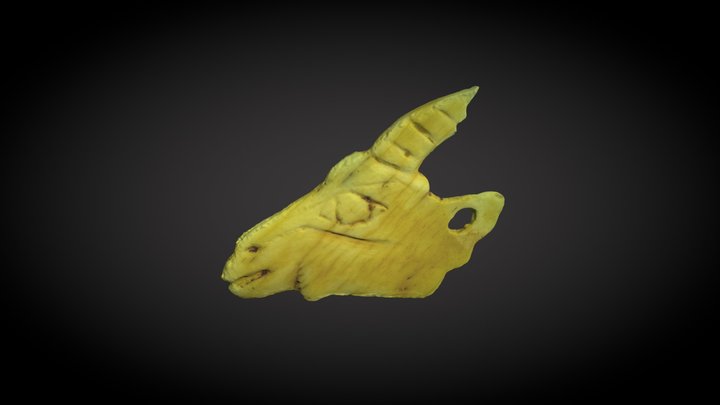 Contorno Recortado Cabra 3D Model