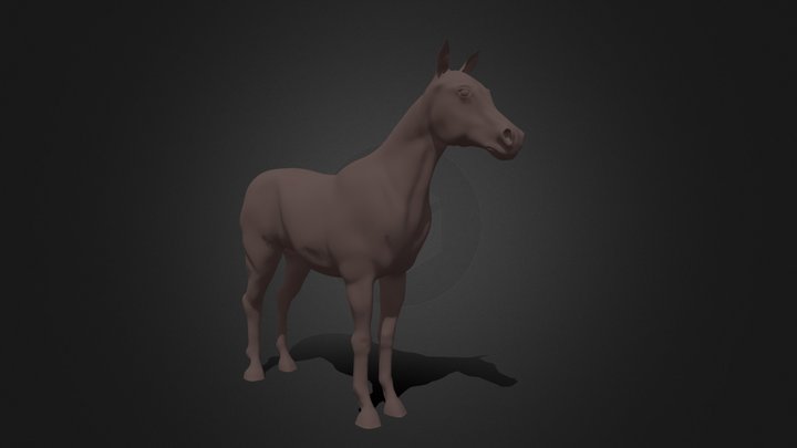 Horse Base Model 3D Model