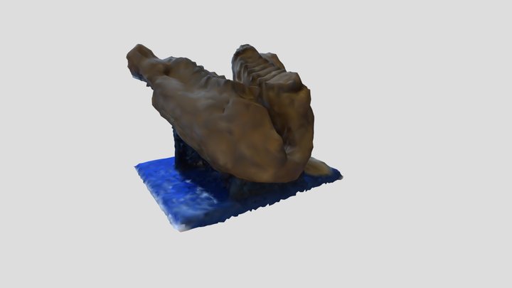 Lorena Sketchfab 3D Model