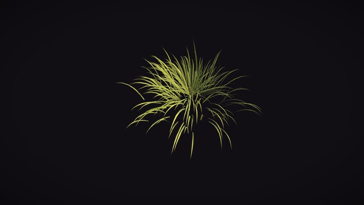 Animated Grass - Vegetation 3D Model