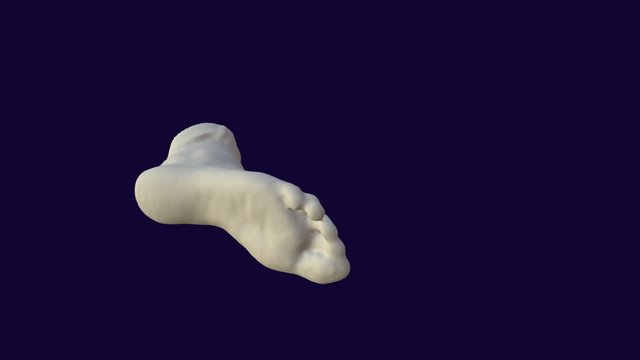Foot Scan 3D Model
