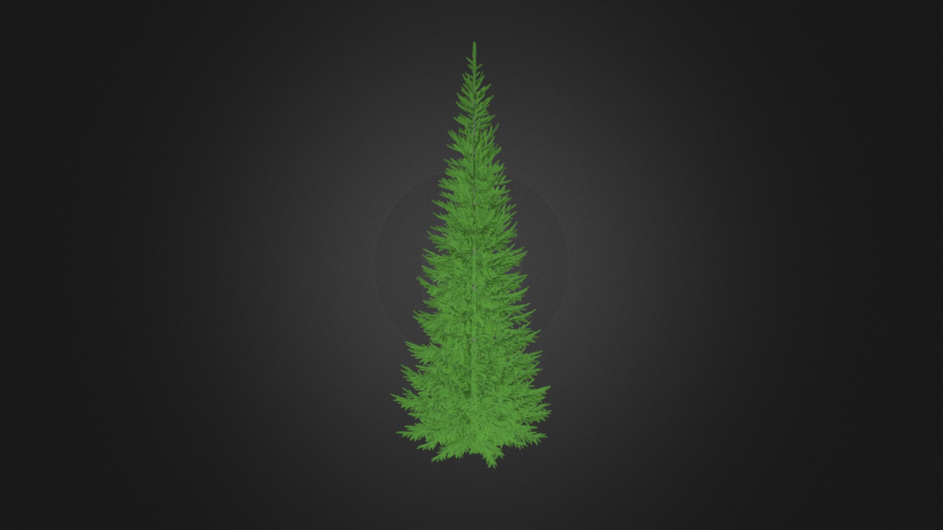 3D model Norway Spruce (Picea abies) 7.3m - This is a 3D model of the Norway Spruce (Picea abies) 7.3m. The 3D model is about a green tree with a dark background.