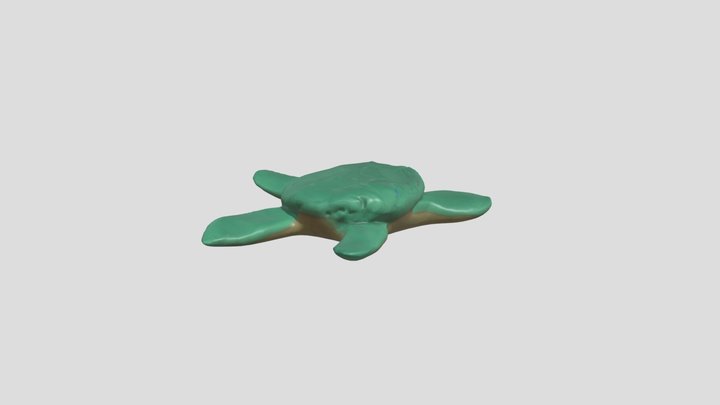 mysterious turtle – Free 3D Model STL