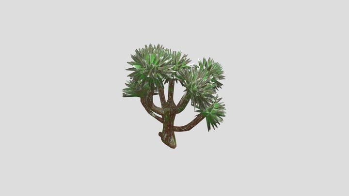 Latex Succulent 3D Model
