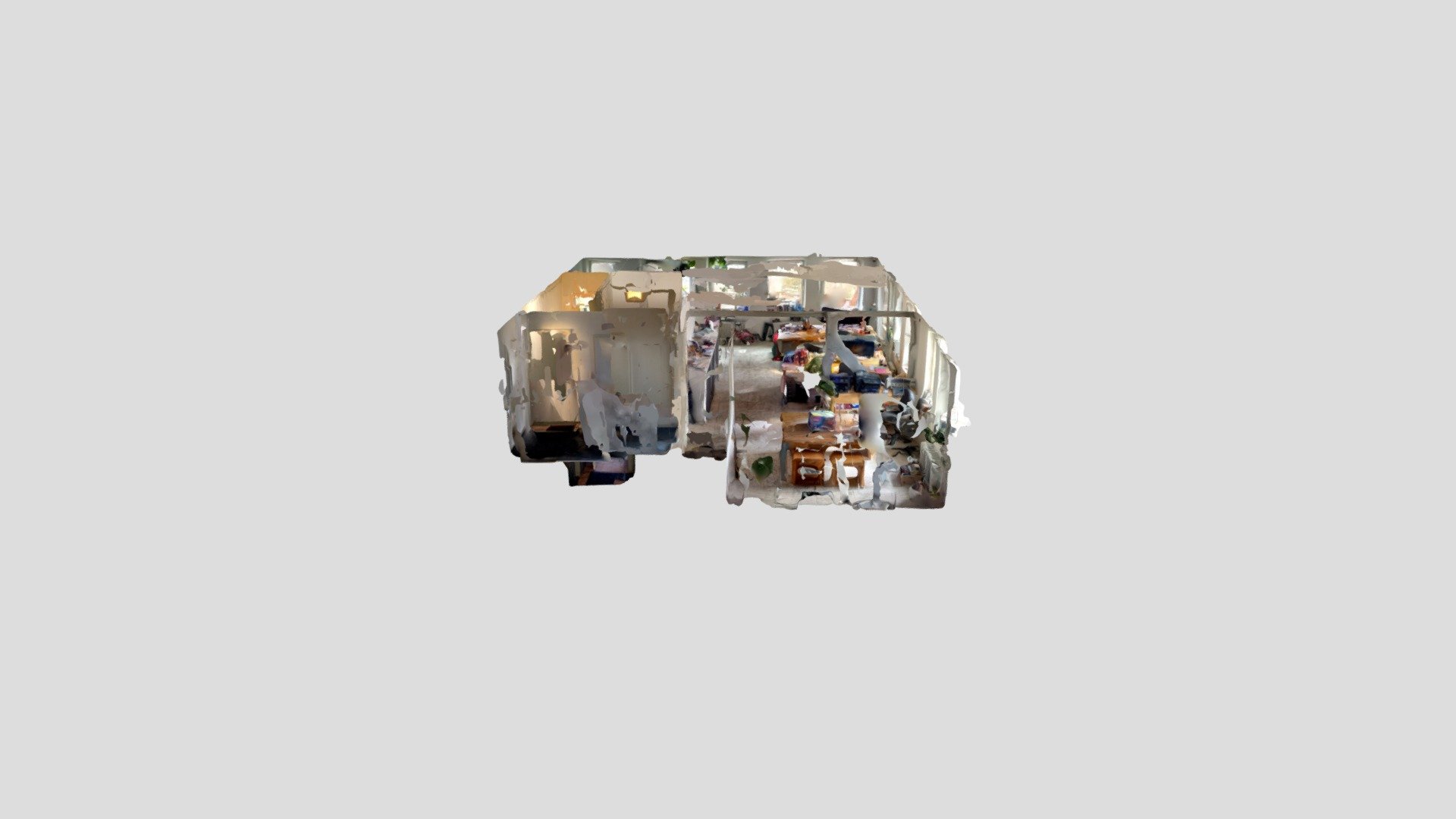 Polycam capture