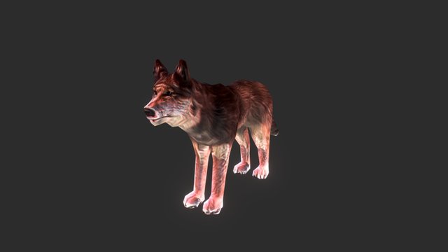 Snow Wolf 3D Model
