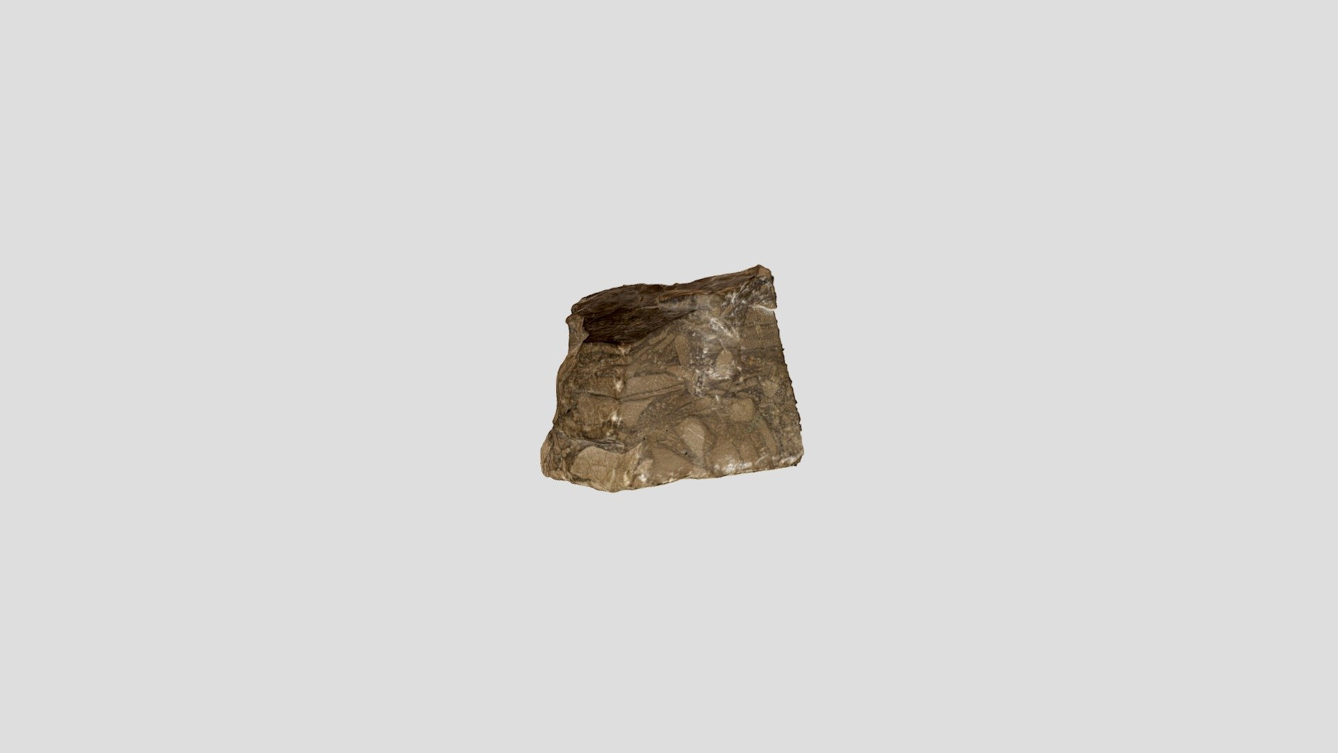 UTSC rock sample 353