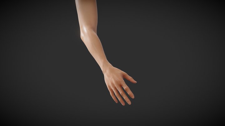 Fit Female Anatomy - Arm and Hand base mesh 3D Model