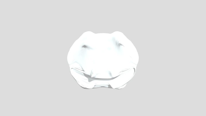 My model 3D Model