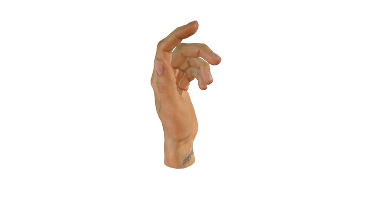 Hand (weiblich) Scan - 2 3D Model