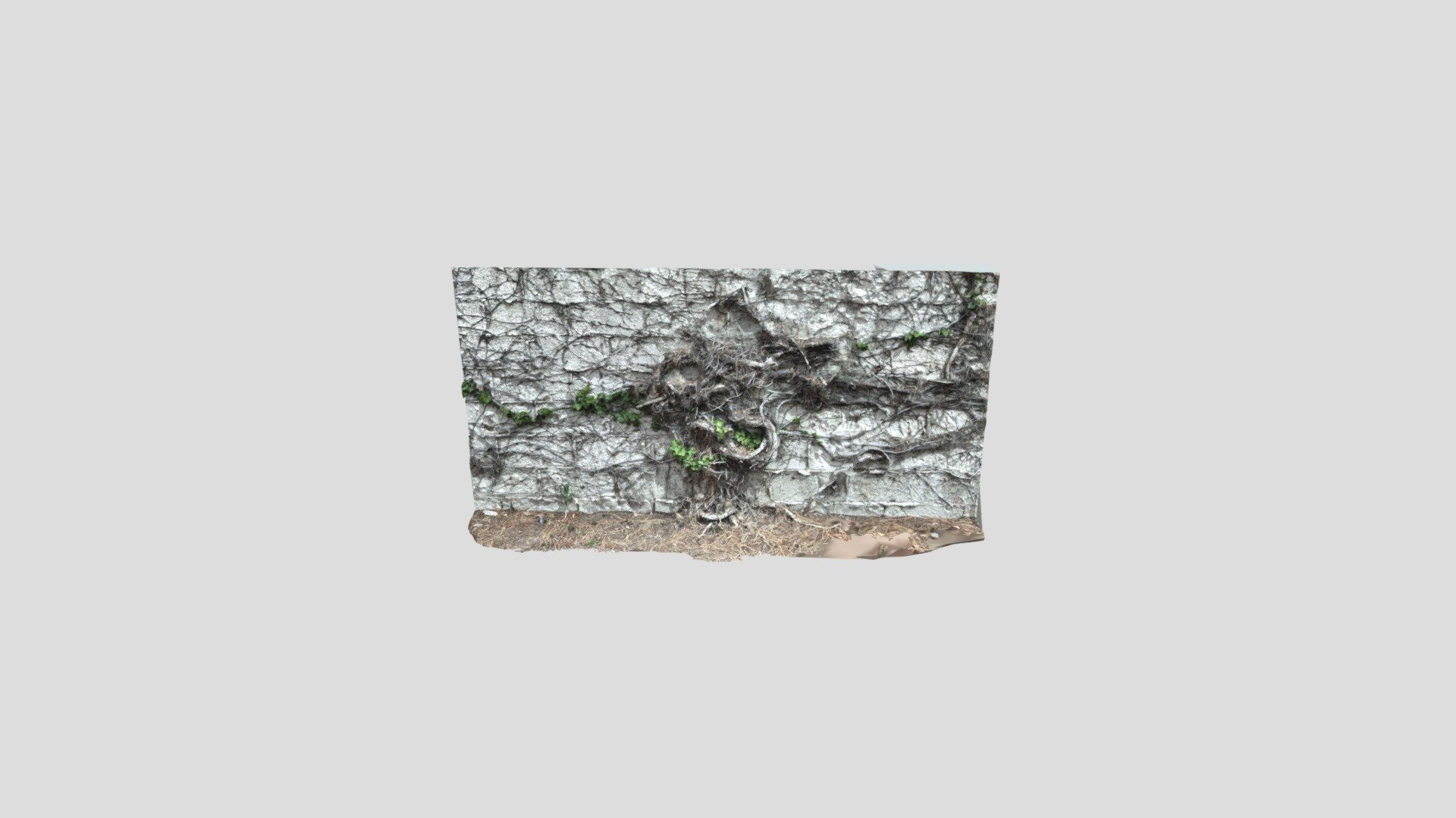 Wall Vines - Sample 2