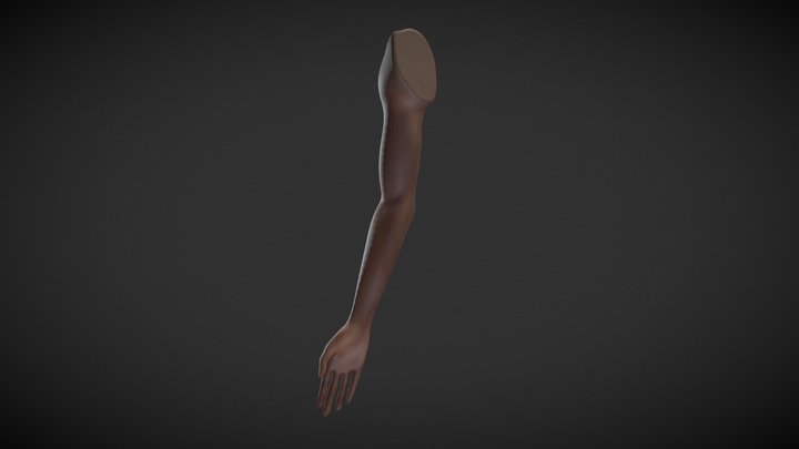 Procreateready 3D models - Sketchfab