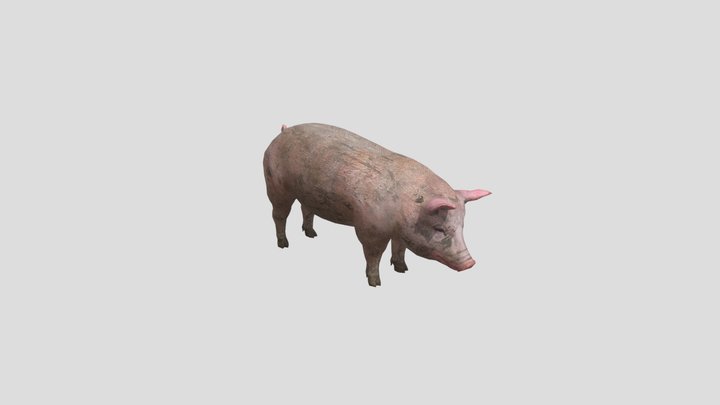 lowpoly pig 3D Model