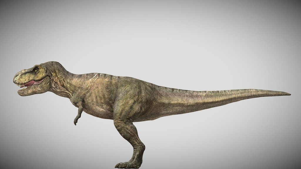 Rexy