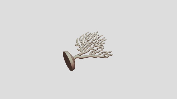 Coral1 3D Model