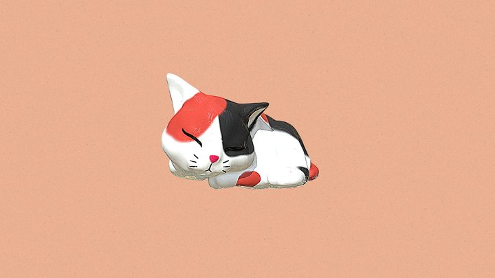 tama cat sleeping 3D Model