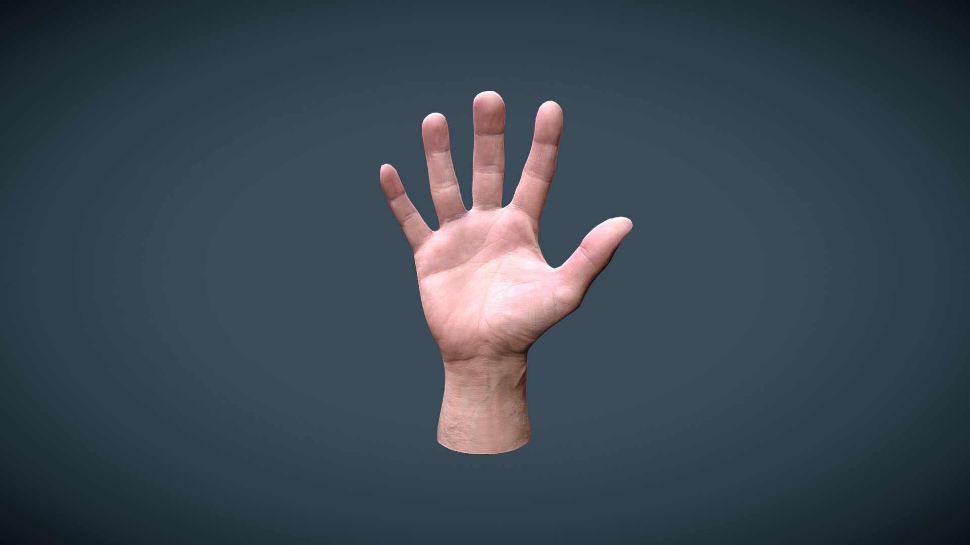 3d hand model download