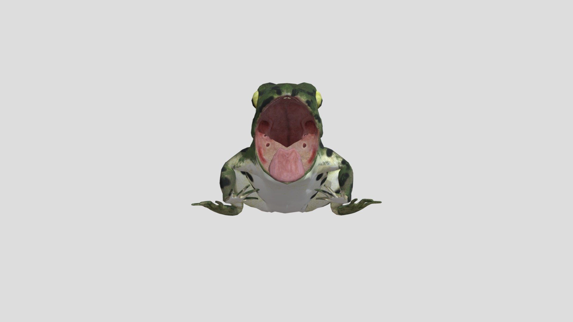 frog - 3D model by 9daymta [26b4c89] - Sketchfab