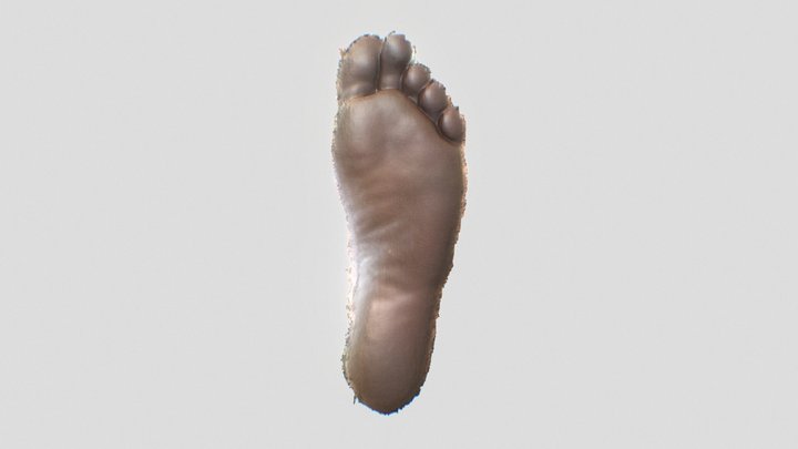 Foot! – Free 3D Model STL