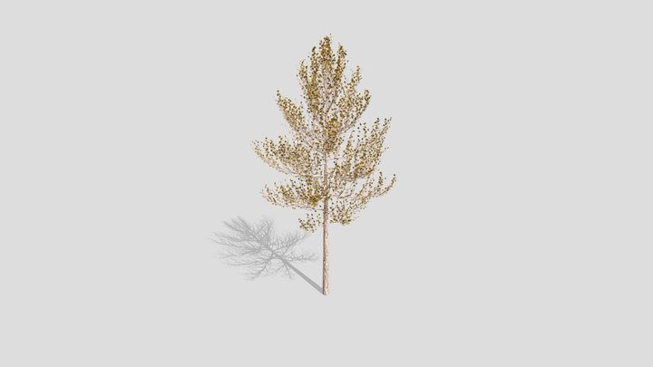 Realistic Tree 3D Model