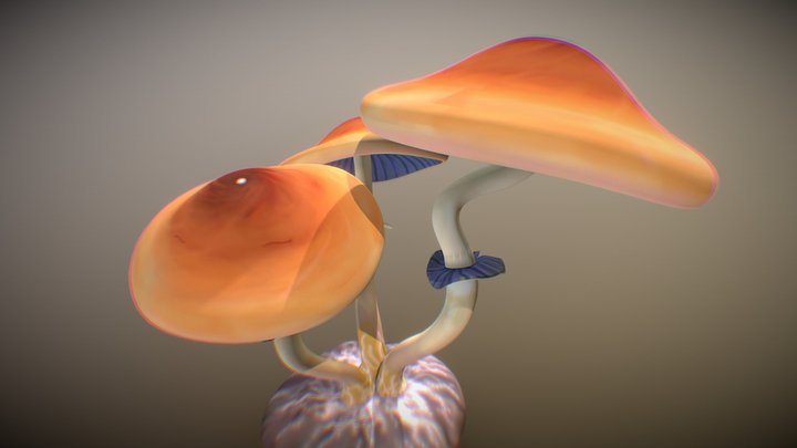 Psicodelic Mushrooms 3D Model