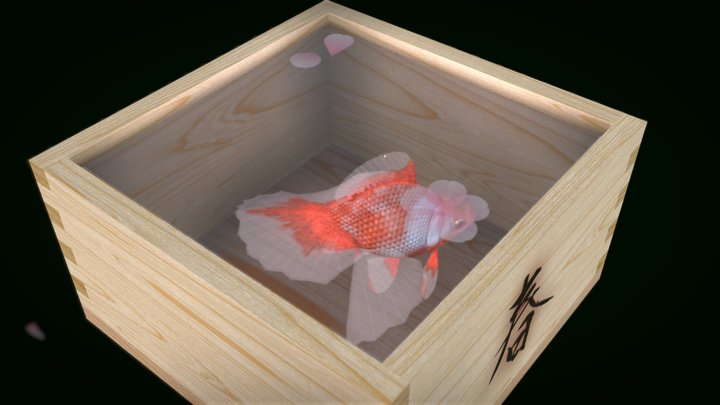 Goldfish Scene 3: Kingyo-sake ~Haru~ 3D Model