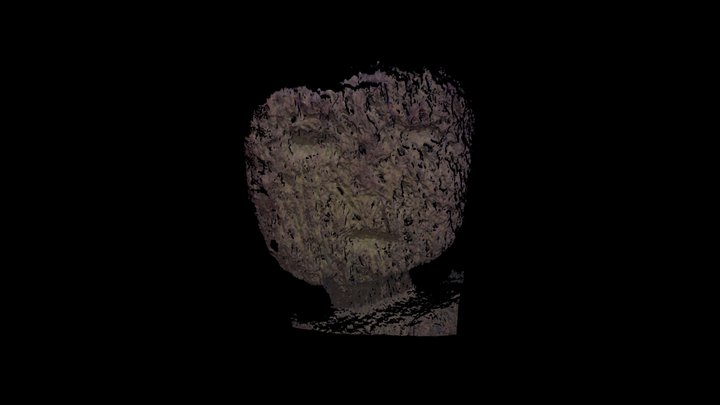 RC0027 - Detalle de Cabeza 3D Model