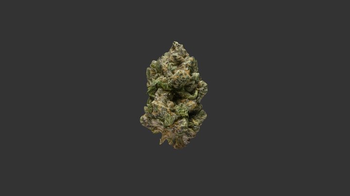 Cannabis 3D Model